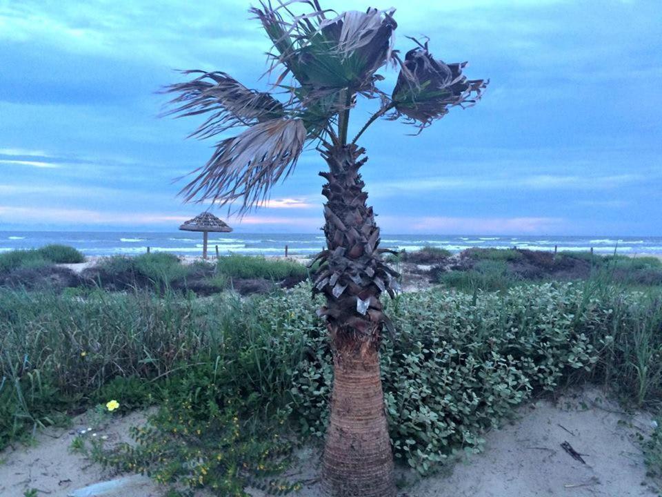 Unobstructed Oceanfront Seagull Unit 3 Beach Pad! Villa Surfside Beach Esterno foto